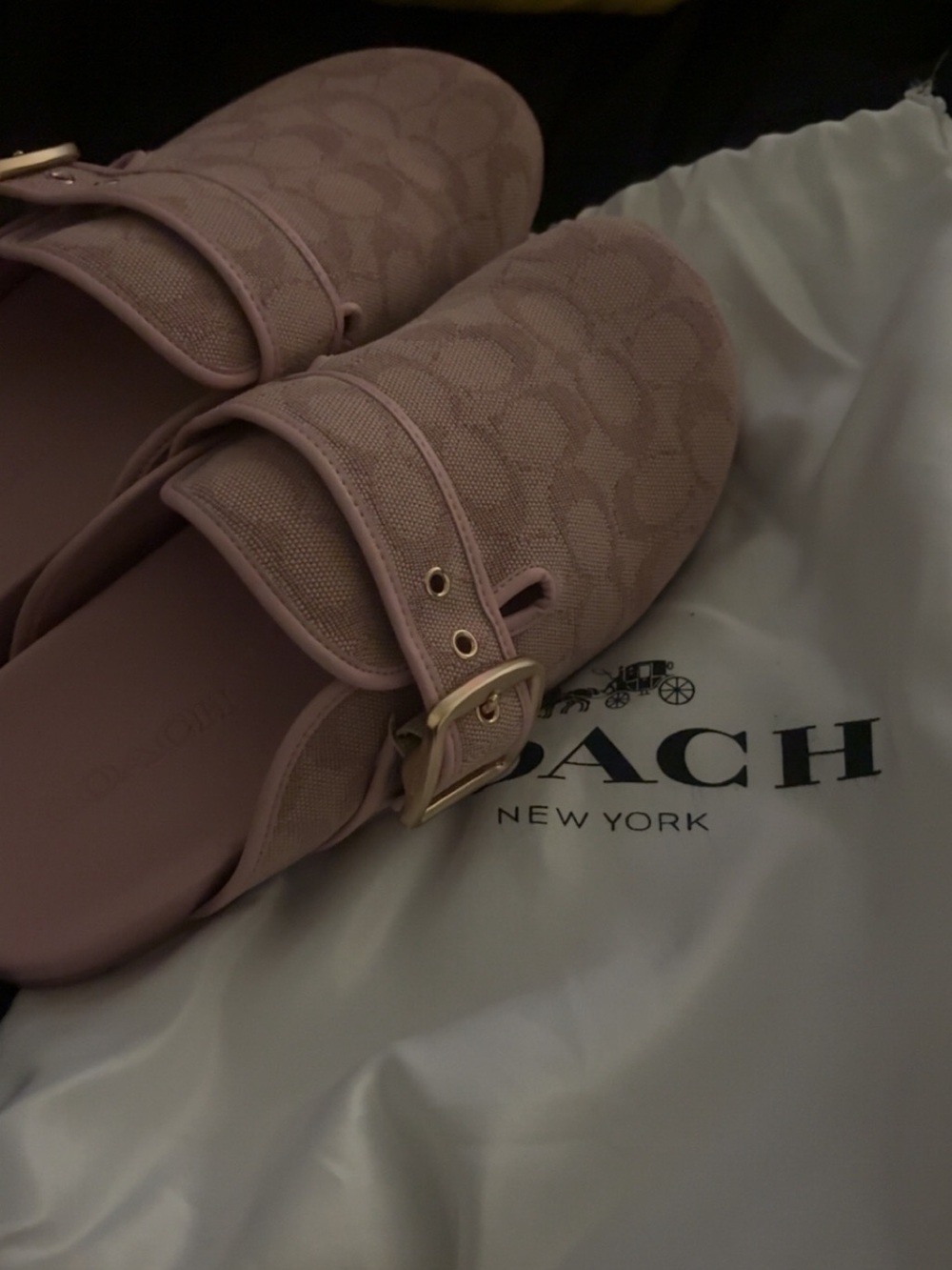 Coach Women's Dusty Pink Jacquard Slip-On Mule with Gold Buckle
